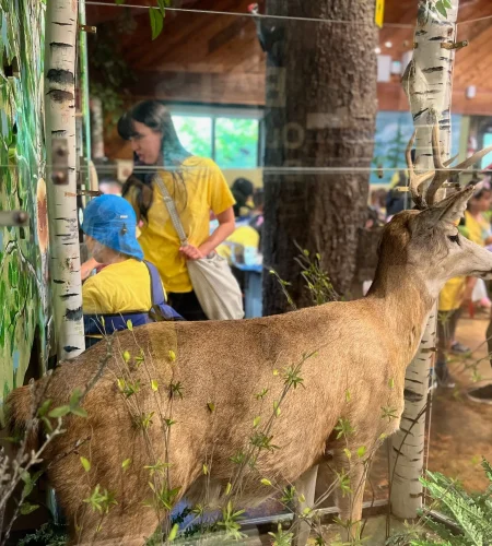 Funderland Sceince Kids Program Vanco-36fe1ae