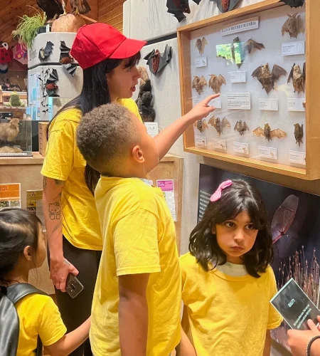 Funderland Sceince Kids Program Vanco-433c083