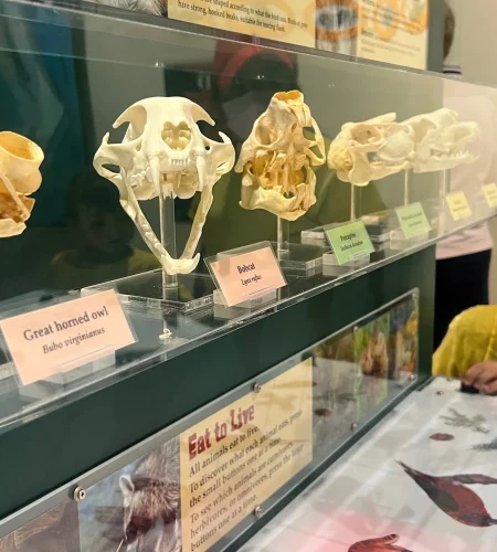 Funderland Sceince Kids Program Vanco-89492ba